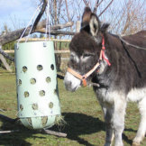 HeuToy MINI im DOPPELPACK (Bausatz), (für Esel, Ziege, Schafe, kleine Ponys)