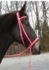 Dr. Cook Bitless Bridle & Reins / Gebisslose Trense / Pink / Neu New